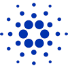 ADA icon